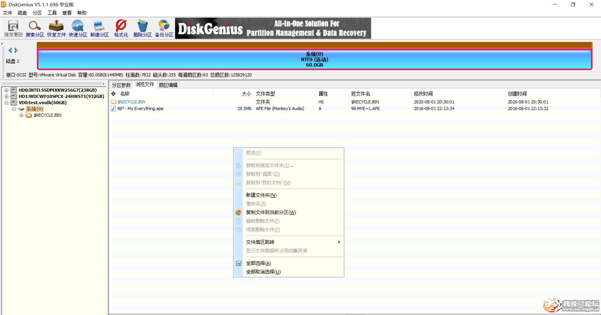 2020最新DiskGenius Pro v5.1.1.696永久专业版,我爱破解